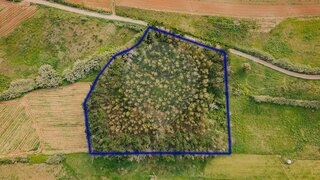 Land for sale in Lourinhã, Portugal — €22,000