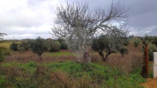 Land for sale in Santarém, Portugal — €45,000