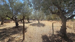 Terreno · 1420 m² · 27 500 €
