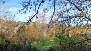 Land for sale in Torres Novas, Portugal — €23,200