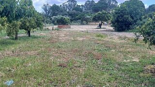 Terreno em Santarém · 3760 m² · 80 000 €