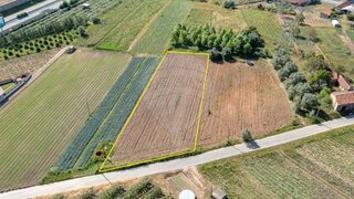 Land for sale in Anadia, Portugal — €37,000