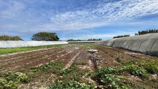 Terreno em Póvoa de Varzim