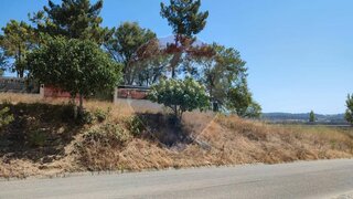 Land for sale in Tomar, Portugal — €25,000