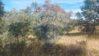 Land for sale in Penamacor, Portugal — €6,500