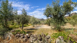 Land for sale in Sabugal, Portugal — €25,000