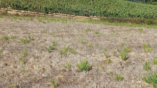 Land for sale in Mafra, Portugal — €35,000