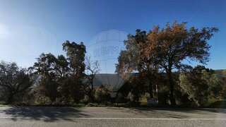 Terreno em Alcanena