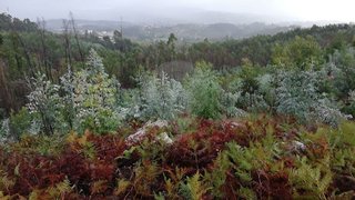 Land for sale in Penafiel, Portugal — €6,500