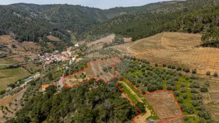 Terreno em Sabrosa