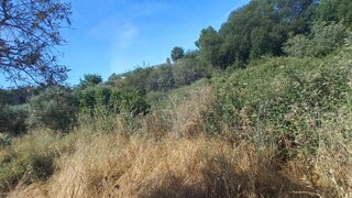 Land for sale in Penamacor, Portugal — €10,000
