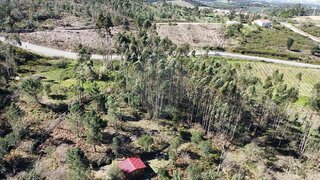 Land for sale in Tomar, Portugal — €24,000