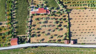 Land for sale in São João da Pesqueira, Portugal — €30,000