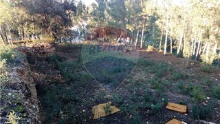 Land for sale in Abrantes, Portugal — €64,000