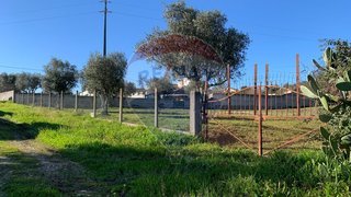 Land for sale in Gavião, Portugal — €30,000
