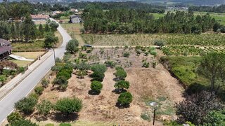 Land for sale in Anadia, Portugal — €59,000