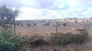 Terreno em Mértola