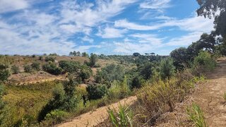 Land for sale in Azambuja, Portugal — €55,000