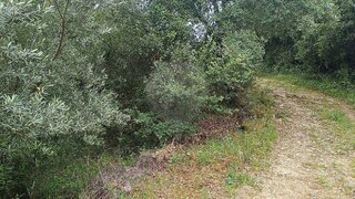 Terreno · 8880 m² · 11 400 €