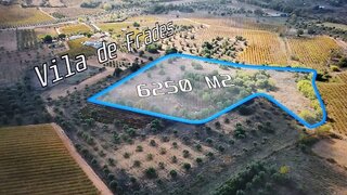 Land for sale in Vidigueira, Portugal — €20,000
