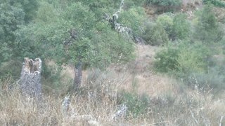 Land for sale in Carrazeda de Ansiães, Portugal — €28,000