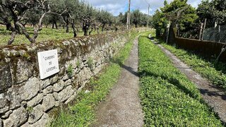 Land for sale in Fundão, Portugal — €8,700