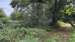 Land for sale in Valença, Portugal — €15,000