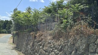 Terreno em Belmonte