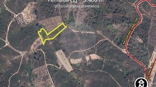 Land for sale in Vila de Rei, Portugal — €12,315