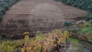 Land for sale in São João da Pesqueira, Portugal — €110,000