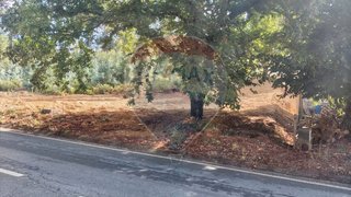 Land for sale in Sertã, Portugal — €17,000