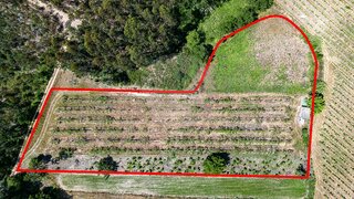 Land for sale in Anadia, Portugal — €63,000