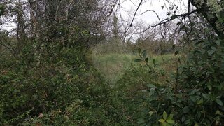 Land for sale in Pombal, Portugal — €15,000