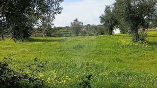 Land for sale in Abrantes, Portugal — €45,000