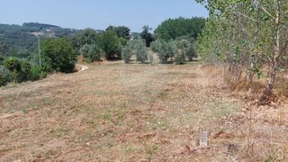 Land for sale in Ferreira do Zêzere, Portugal — €40,000
