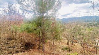 Terreno em Vila Pouca de Aguiar