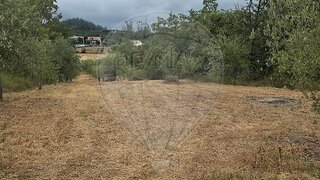 Land for sale in Pombal, Portugal — €21,500