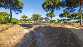 Land for sale in Alcácer do Sal, Portugal — €515,000