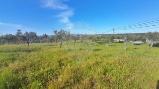 Terreno de 4000 m² em Castelo Branco