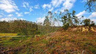 Land for sale in Ourém, Portugal — €12,000