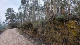 Land for sale in Pombal, Portugal — €2,000