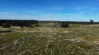 Land for sale in Montemor-o-Novo, Portugal — €135,000