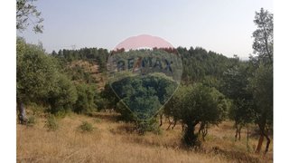 Land for sale in Torres Novas, Portugal — €52,500