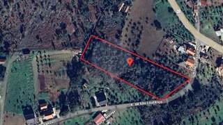 Land for sale in Sertã, Portugal — €35,000