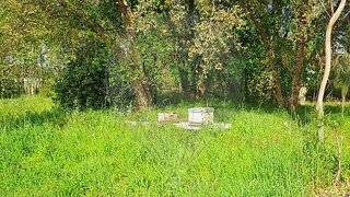 Terreno em Anadia