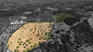 Land for sale in Torres Novas, Portugal — €298,000
