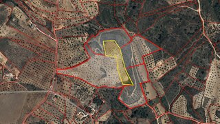 Land for sale in Torres Novas, Portugal — €11,500