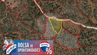 Land for sale in Torres Novas, Portugal — €3,500