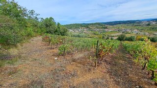 Land for sale in Miranda do Corvo, Portugal — €26,150