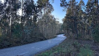 Land for sale in Pombal, Portugal — €2,520